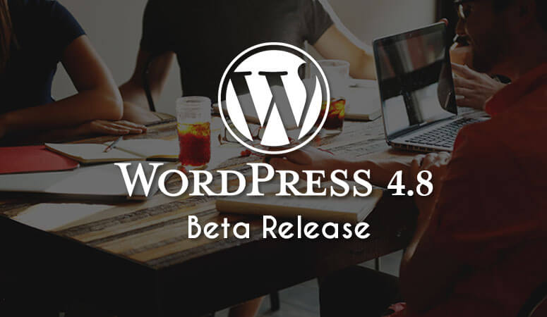 Wordpress 4.8 Evans